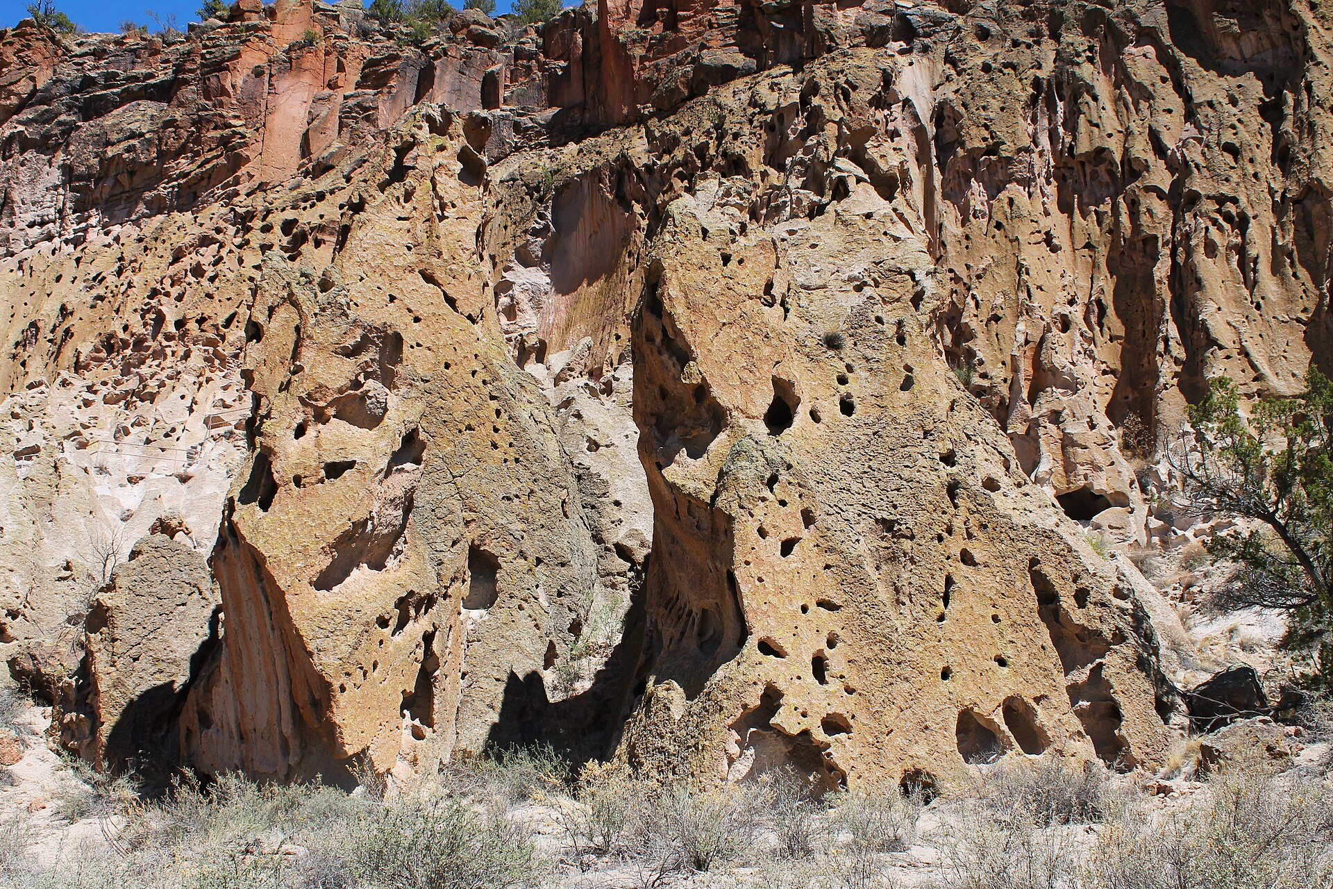 New Mexico landscape