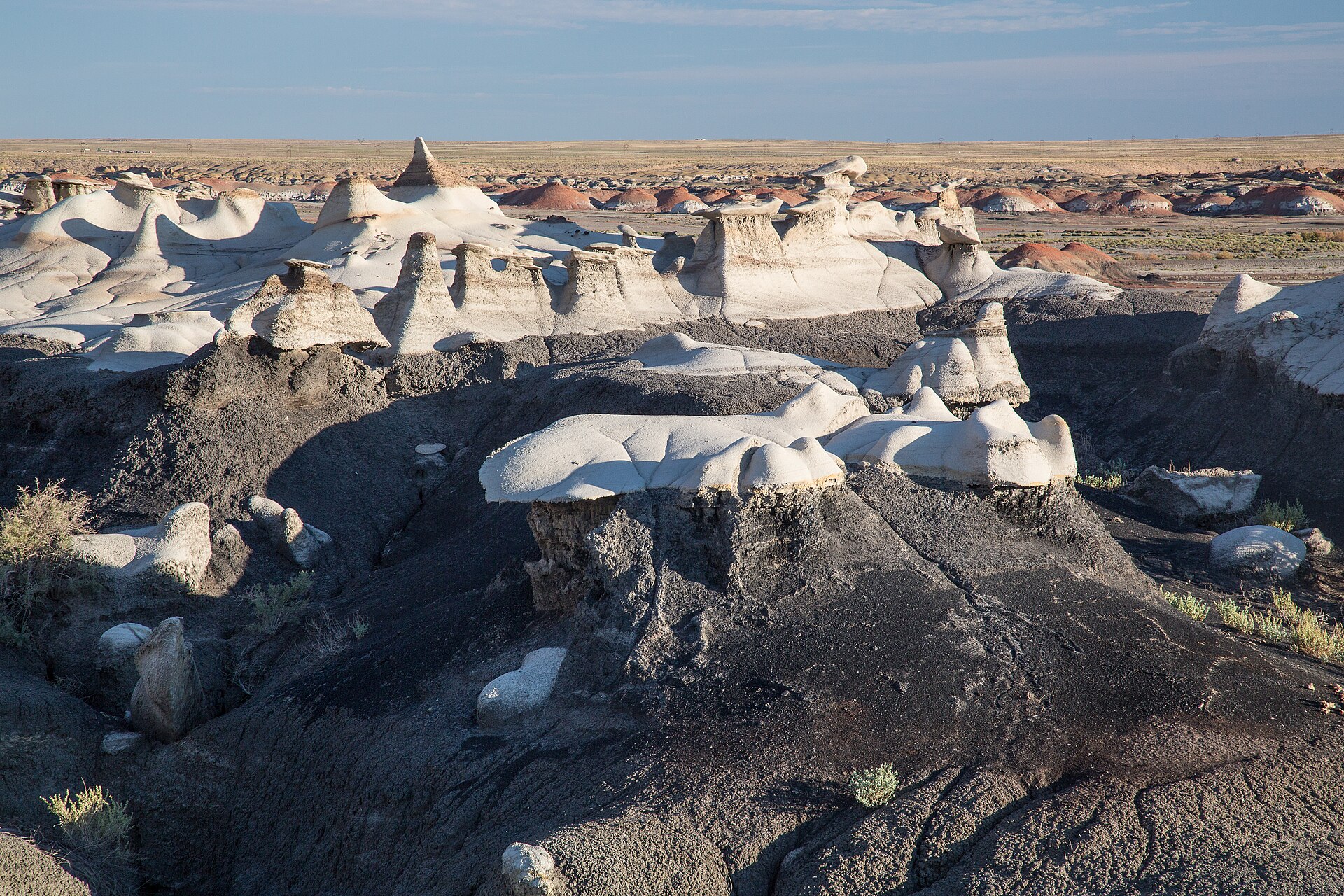 Bisti-De-Na-Zin Wilderness (9440609781)
