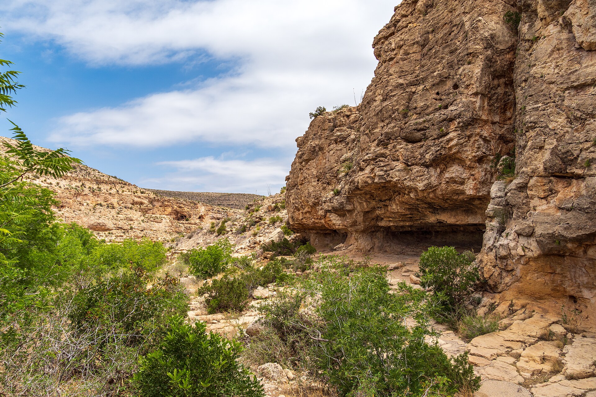Carlsbad Caverns National Park, New Mexico, USA 5-2024 2