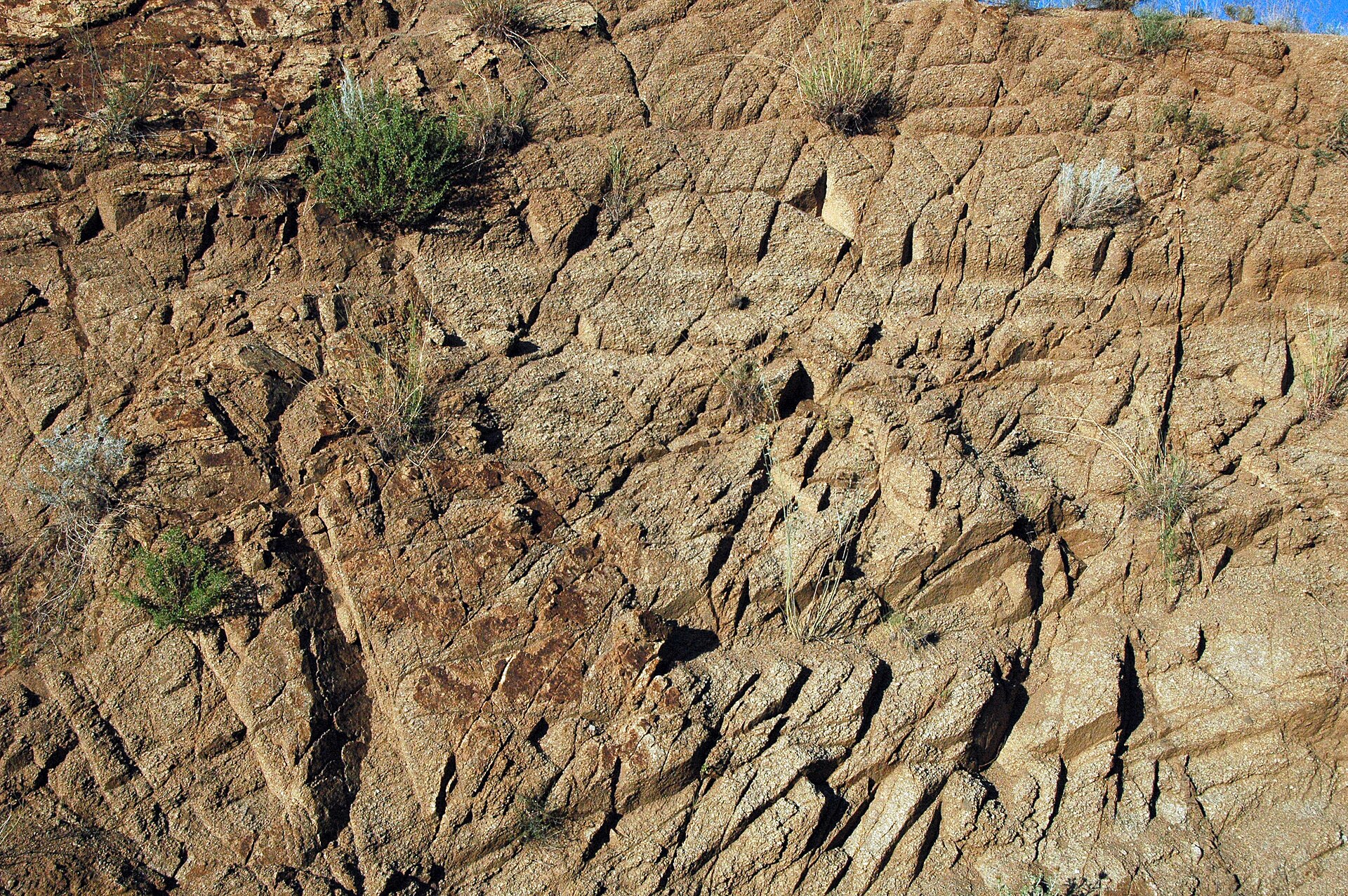 Jointed saprolite (San Augustin Pass, Organ Mountains, New Mexico, USA) 2