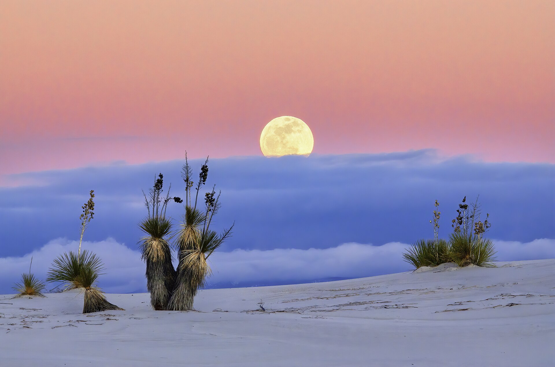 White Sands Moonrise (48001473828)
